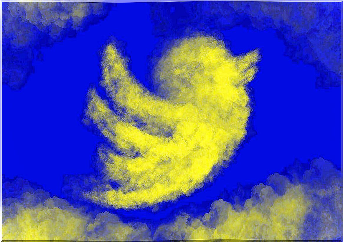 Twitter bird cloud