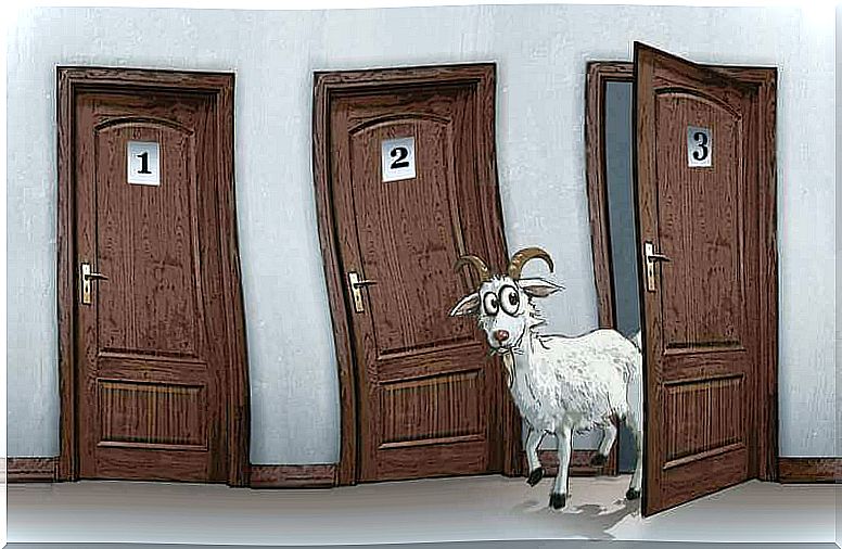 Representation of the Monty Hall paradoxes