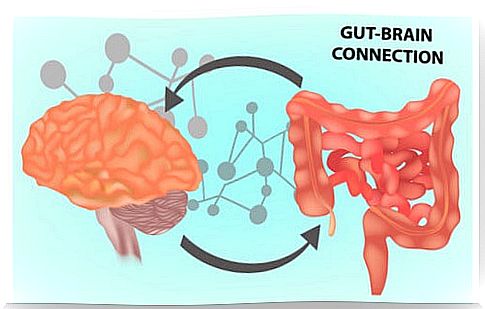 Gut microbiota: key to mental health