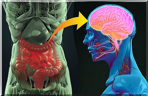 Gut-brain axis
