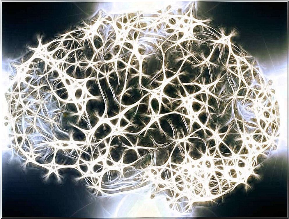 Illuminated brain neurons