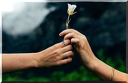 Hands holding flower representing selflessness in love