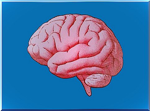 Brain on blue background