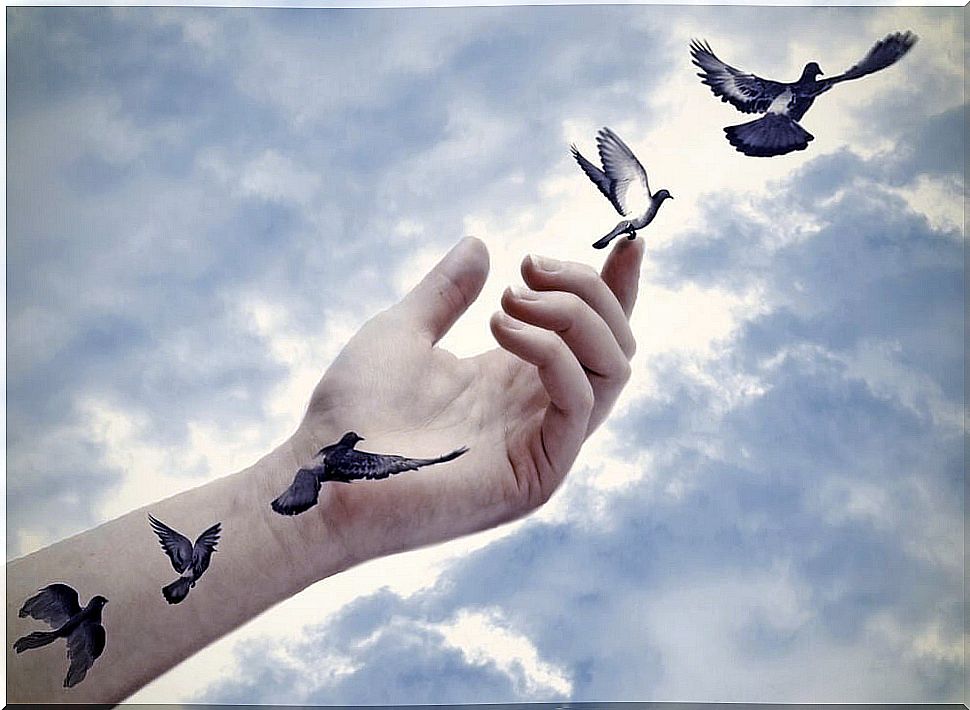 Hands with birds flying